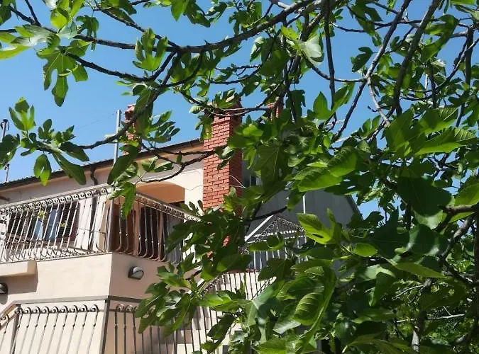 Maja Apartament *