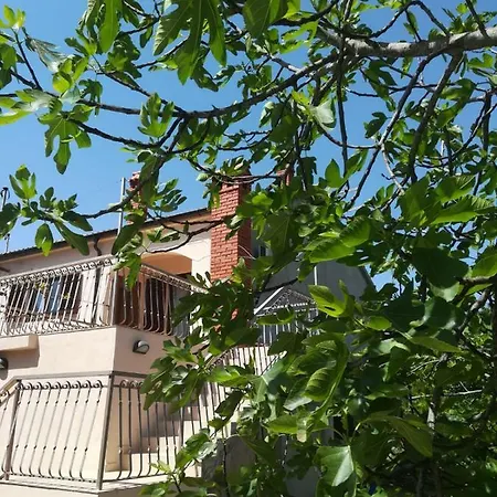Maja Apartmán *
